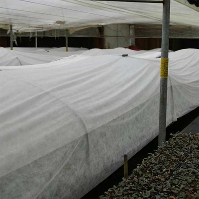 160gsm υφαμένο ύφασμα 190cm γεωργίας μη άσπρο δάκρυ ανθεκτικό